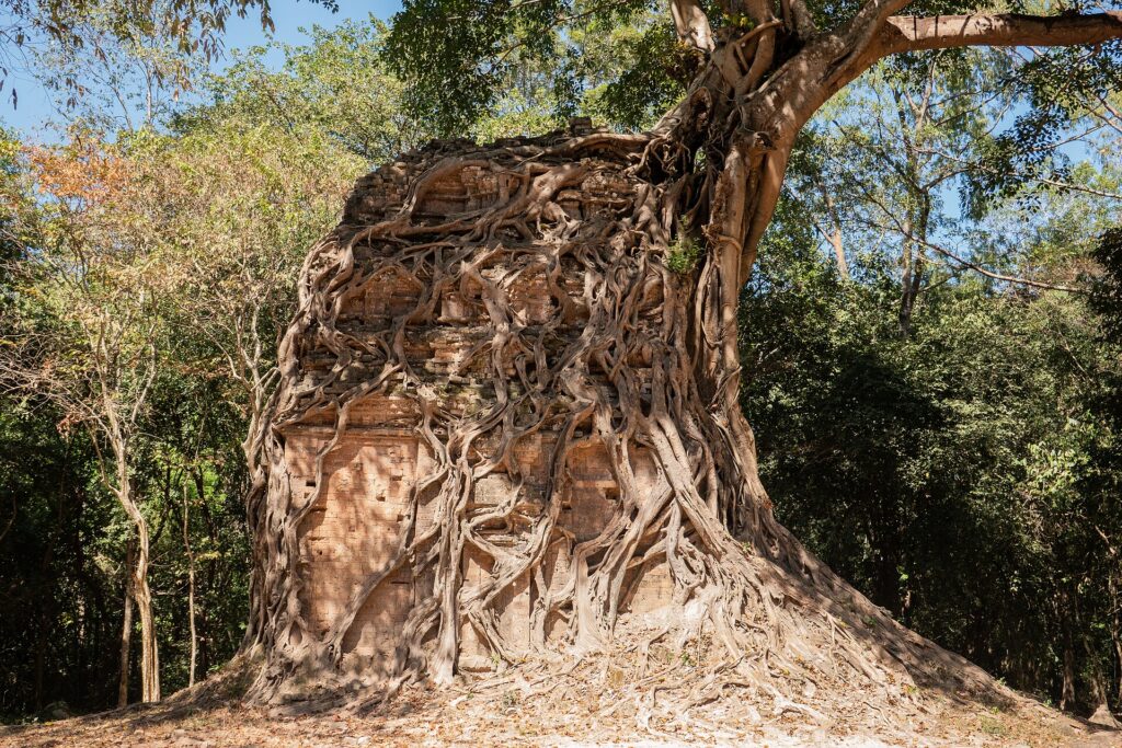 Brick sanctuary among trees at Sambor Prei Kuk