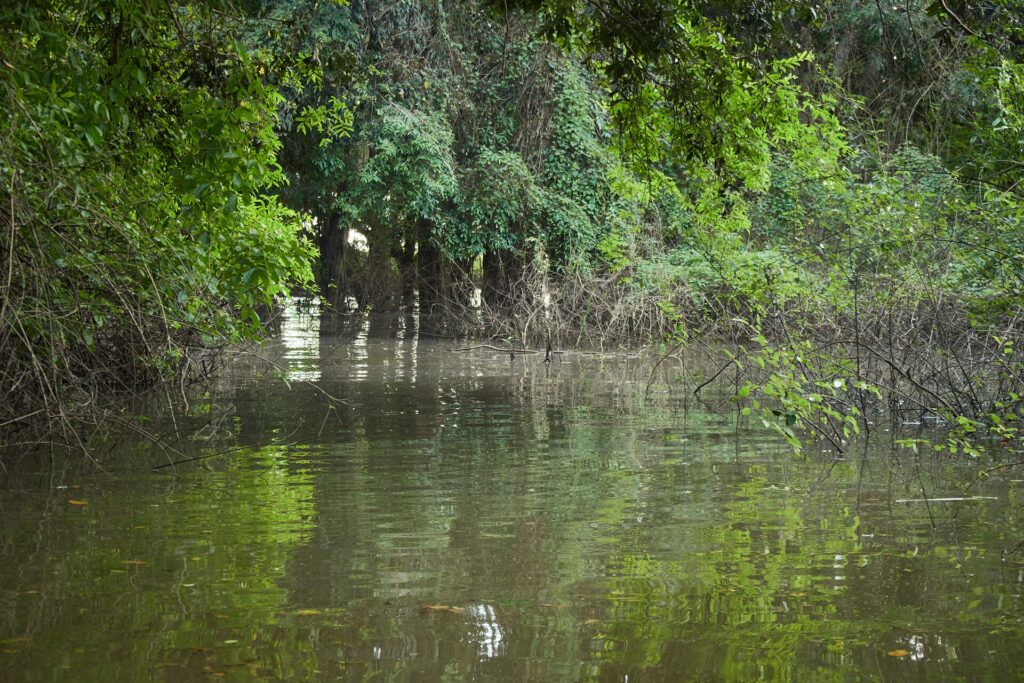 Boat travelling through the Tonlé Sap lake landscape