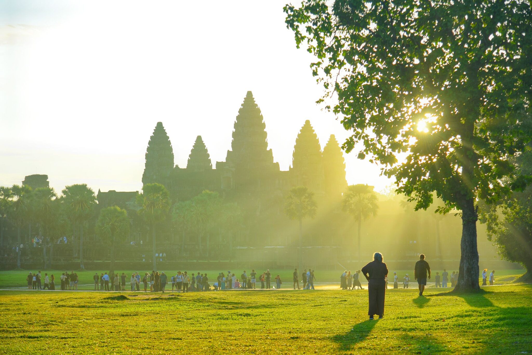 Angkor Wat’s towers silhouetted at sunrise behind a large tree, with visitors walking in the warm morning light